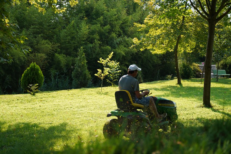Tonte d'un parc au tracteur tondeuse
